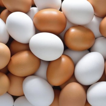 Chicken Eggs